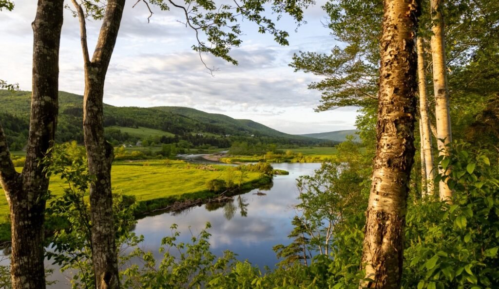 margaree harbour cape breton-baddieshub